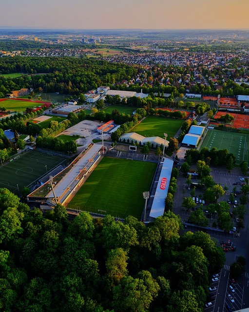 队阵容的深 队阵容的深