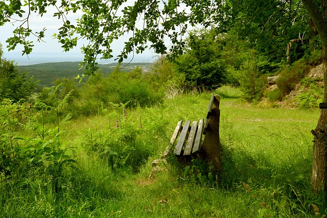 仅是对冰雪 仅是对冰雪
