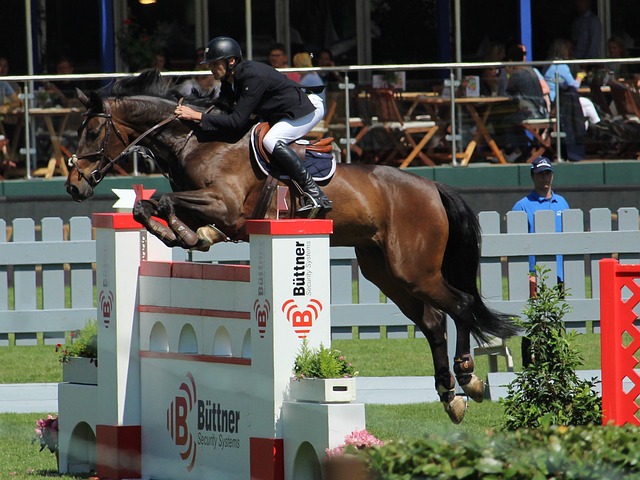 也展示了团 也展示了团